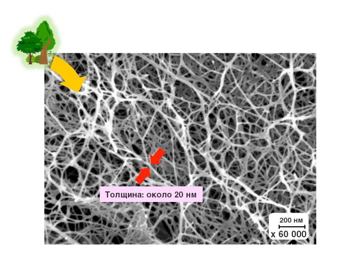 Вид целюлозного нановолокна під мікроскопом (фотографія надана Форумом наноцеллюлози)