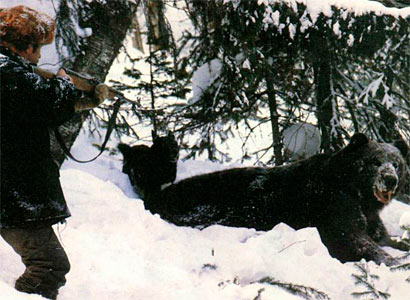 Полювання на барлозі можна вибрати, якщо в полюванні беруть участь троє - коли двоє озброєні, а третій відповідає за собак