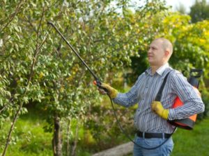 Якщо ви хочете отримати хороший урожай плодових дерев і чагарників, які ростуть в саду, тоді обов'язково потрібно потурбуватися про їх «здоров'я»