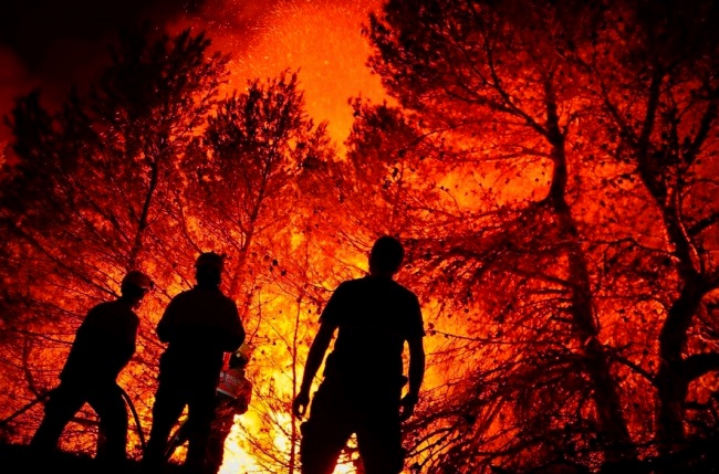 Лісові пожежі - причини виникнення