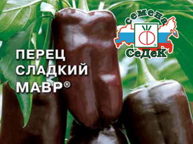 Болгарський перець, поряд з   картоплею   , Помідорами і огірками, є однією з найпоширеніших культур на наших городах